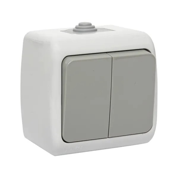 EKF Switch 2-Key IP54 Gray 6